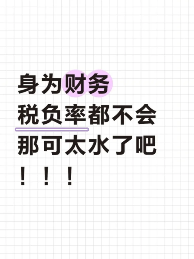 身为财务，税负率都不会那就太水了吧！
