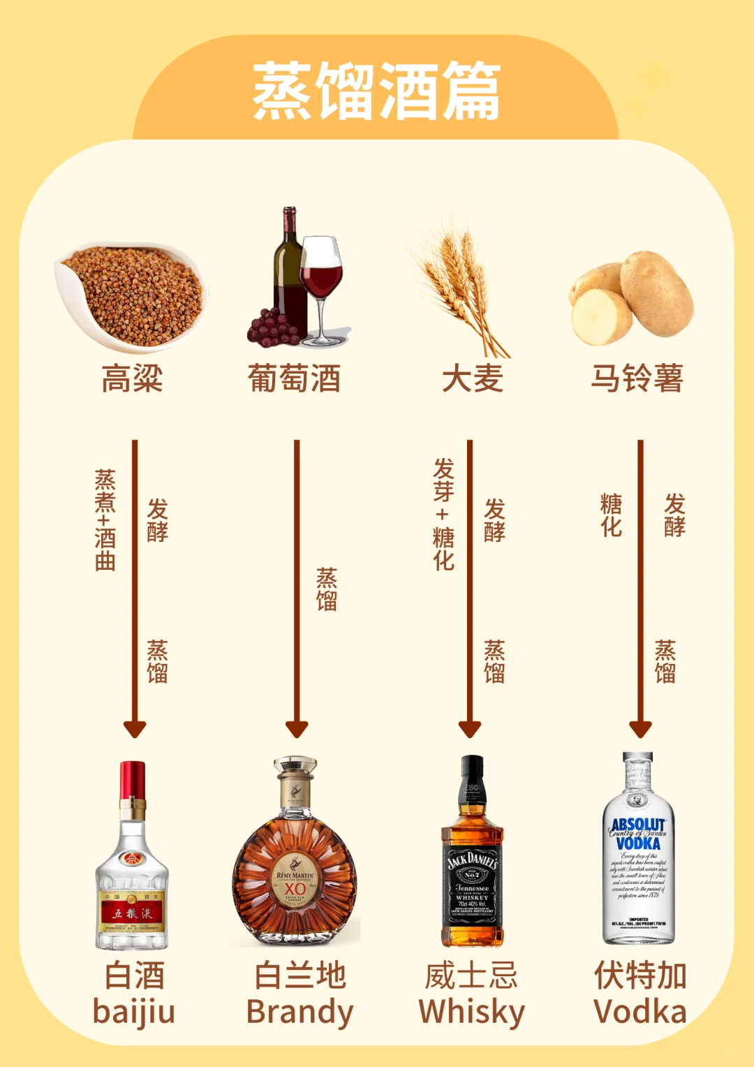 超简单❗一图秒懂酒的来源❗小白秒变行家!