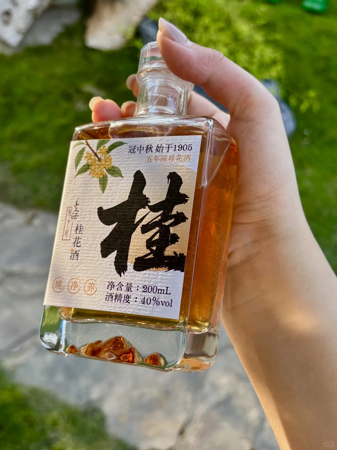 同一款酒连续喝了半年?。。。