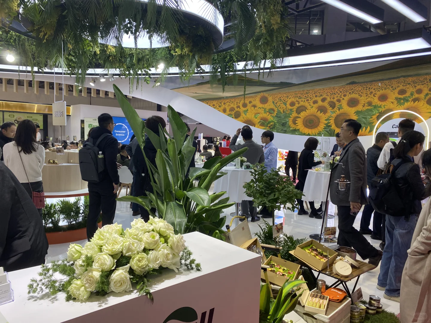 悄悄告诉你，去哪里进鲜食