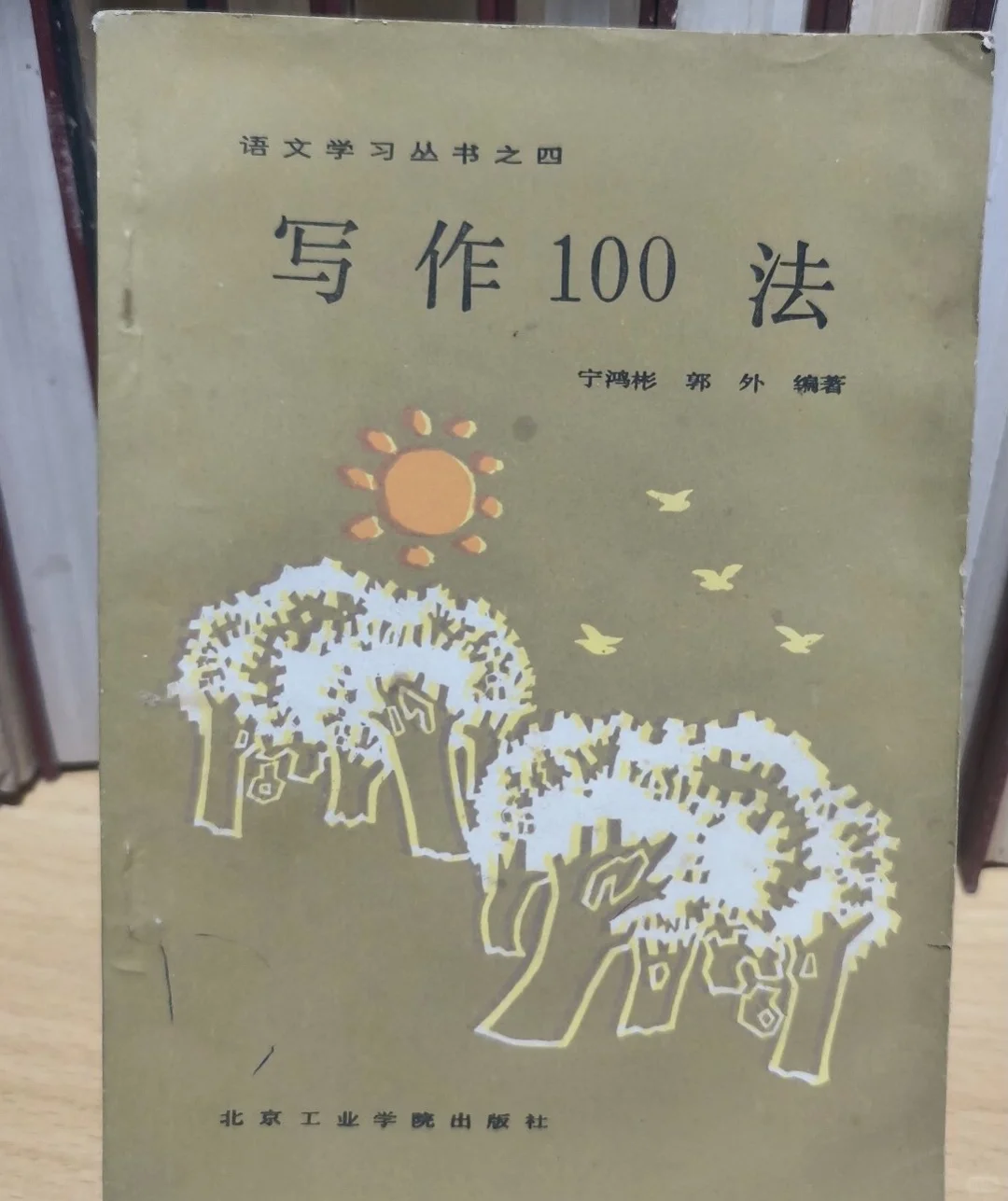 写作100法核心话题清单