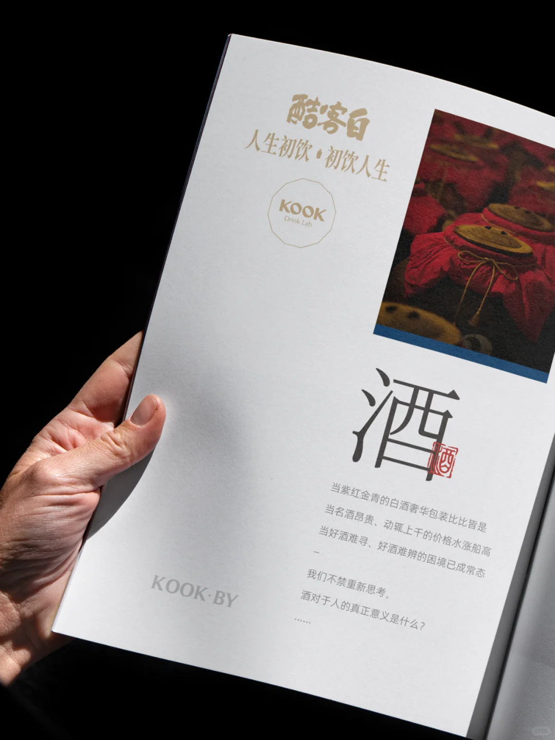 一本简约的白酒手册是什么样的﻿﻿﻿﻿？