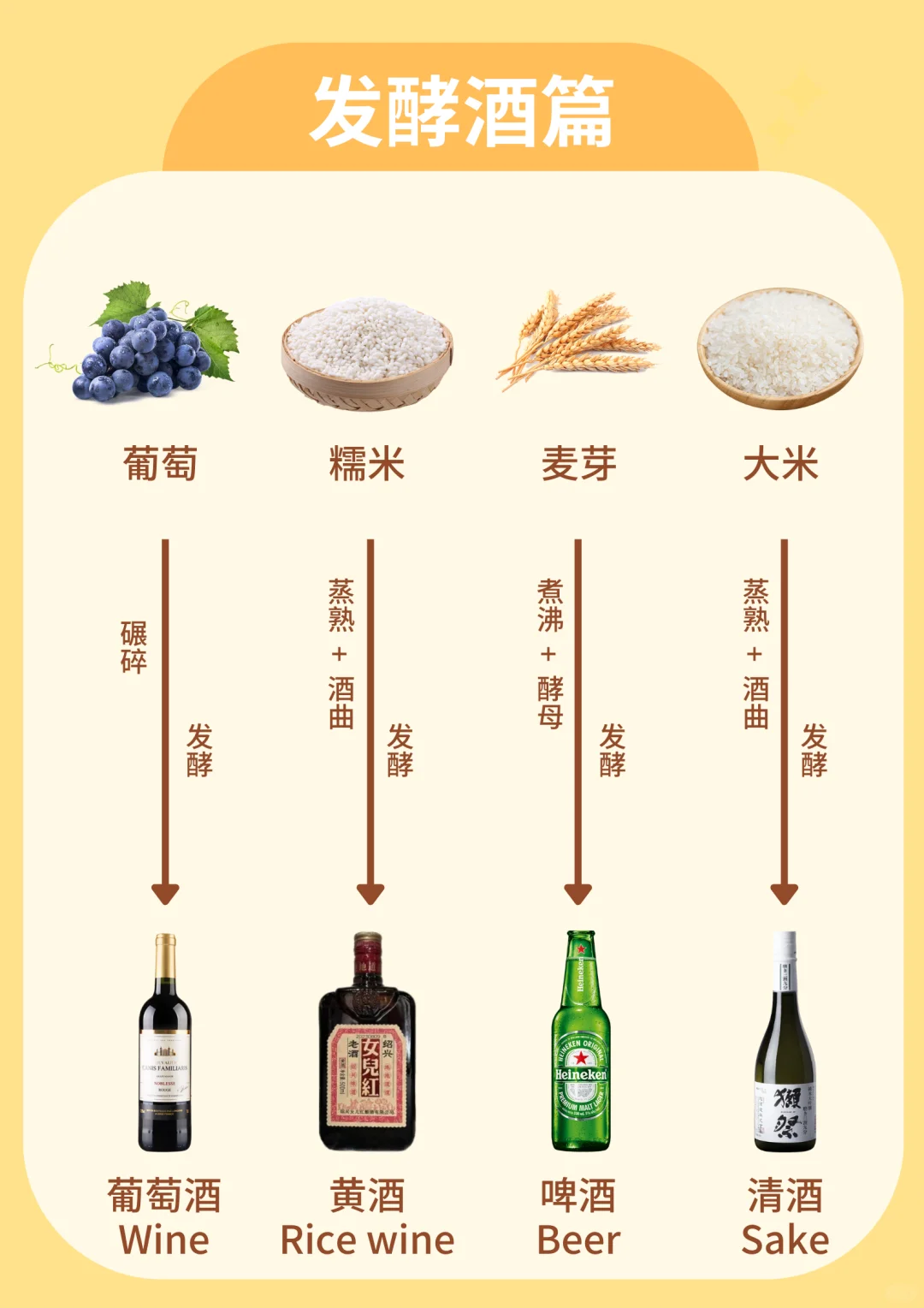 超简单❗一图秒懂酒的来源❗小白秒变行家!