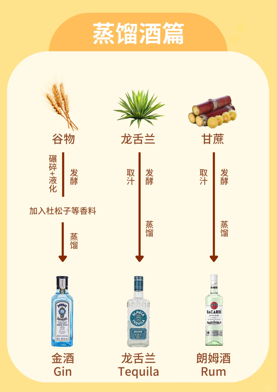 超简单❗一图秒懂酒的来源❗小白秒变行家!