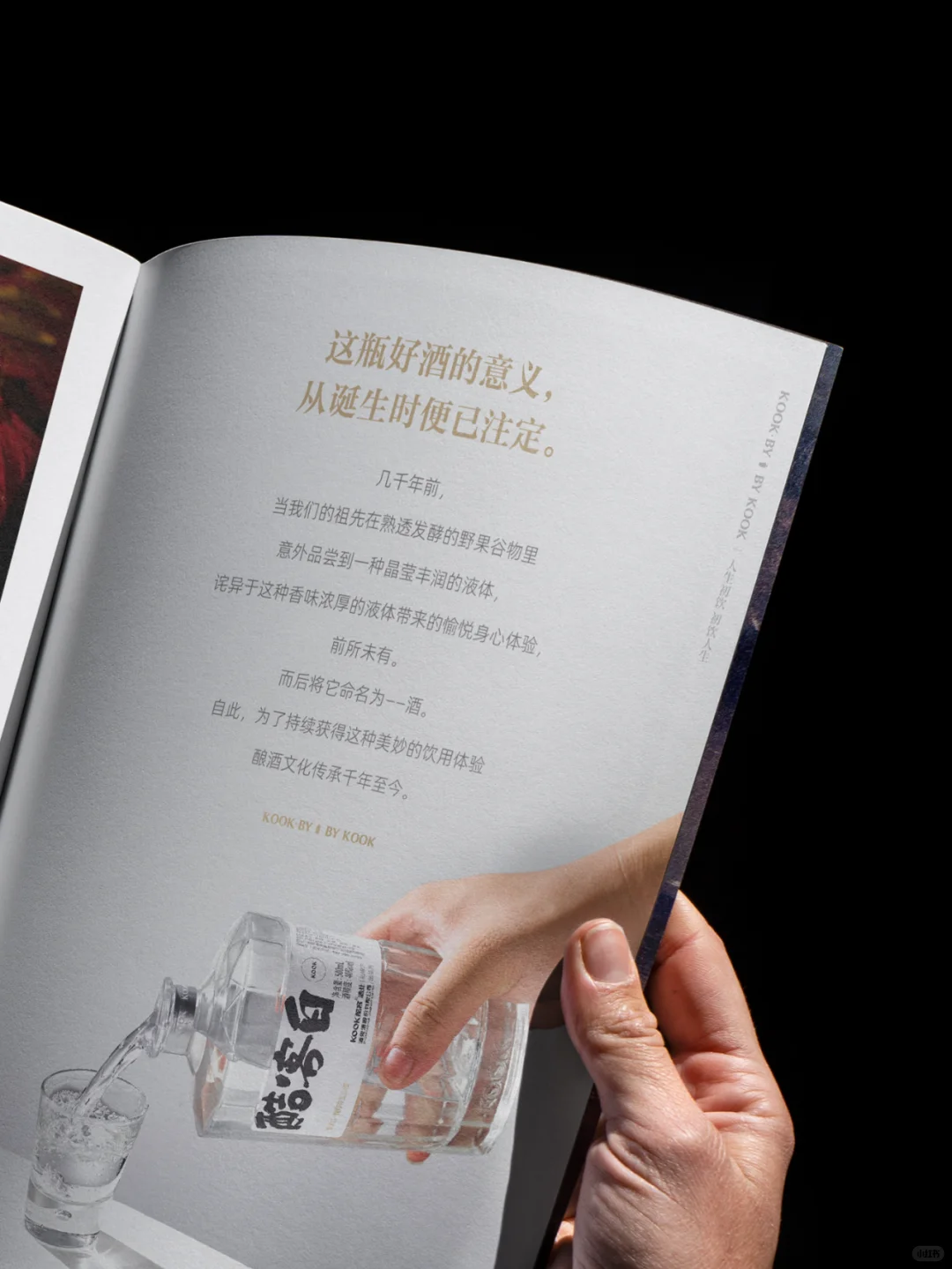 一本简约的白酒手册是什么样的﻿﻿﻿﻿？