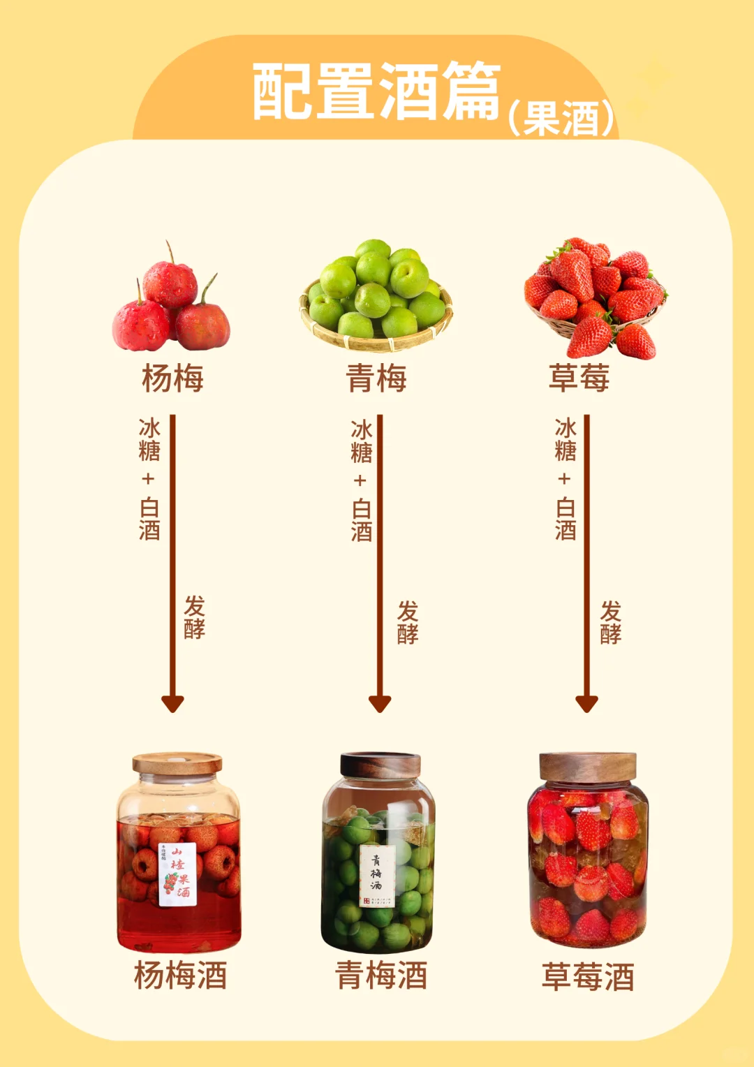 超简单❗一图秒懂酒的来源❗小白秒变行家!