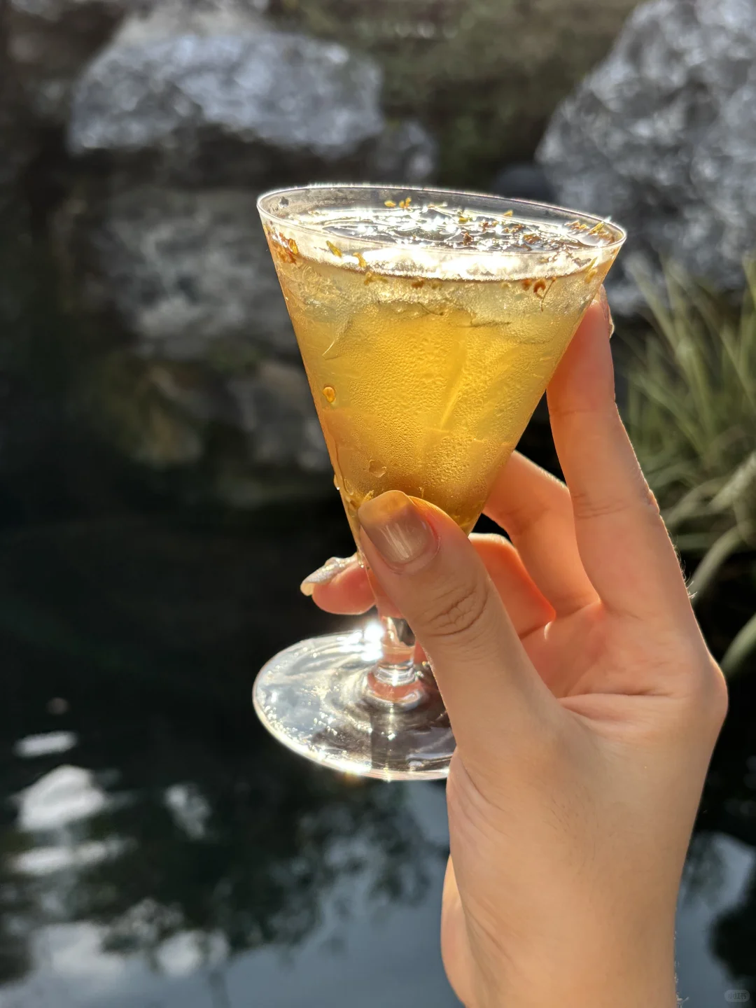 同一款酒连续喝了半年?。。。