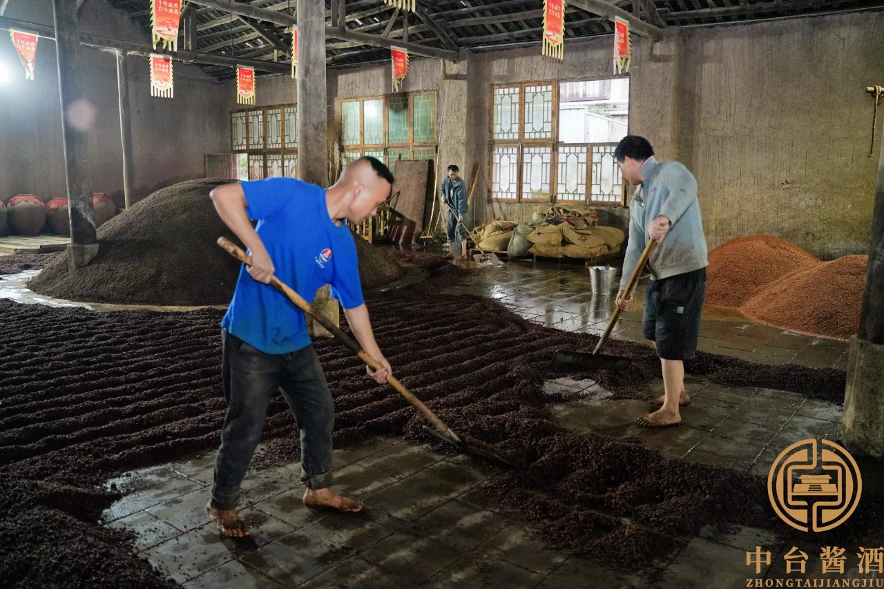 酱酒密码 | 探秘大曲坤沙 12987 工艺 ?