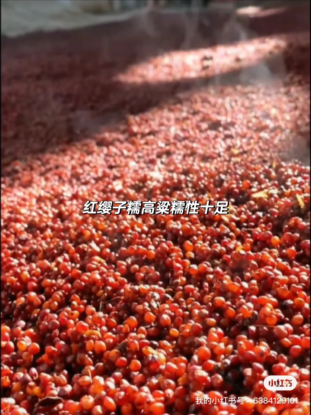 我的发货日常·散装更具性价比｜酒都宜宾直发