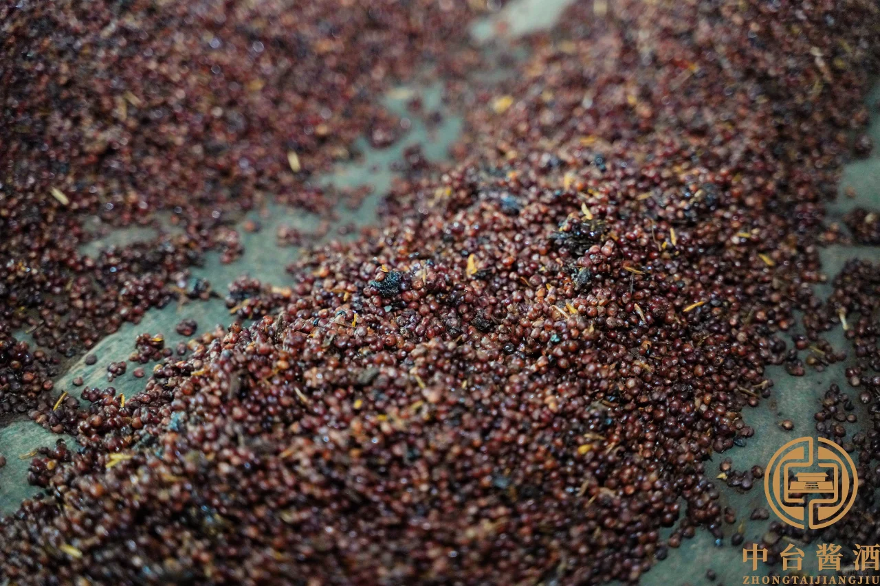 酱酒密码 | 探秘大曲坤沙 12987 工艺 ?