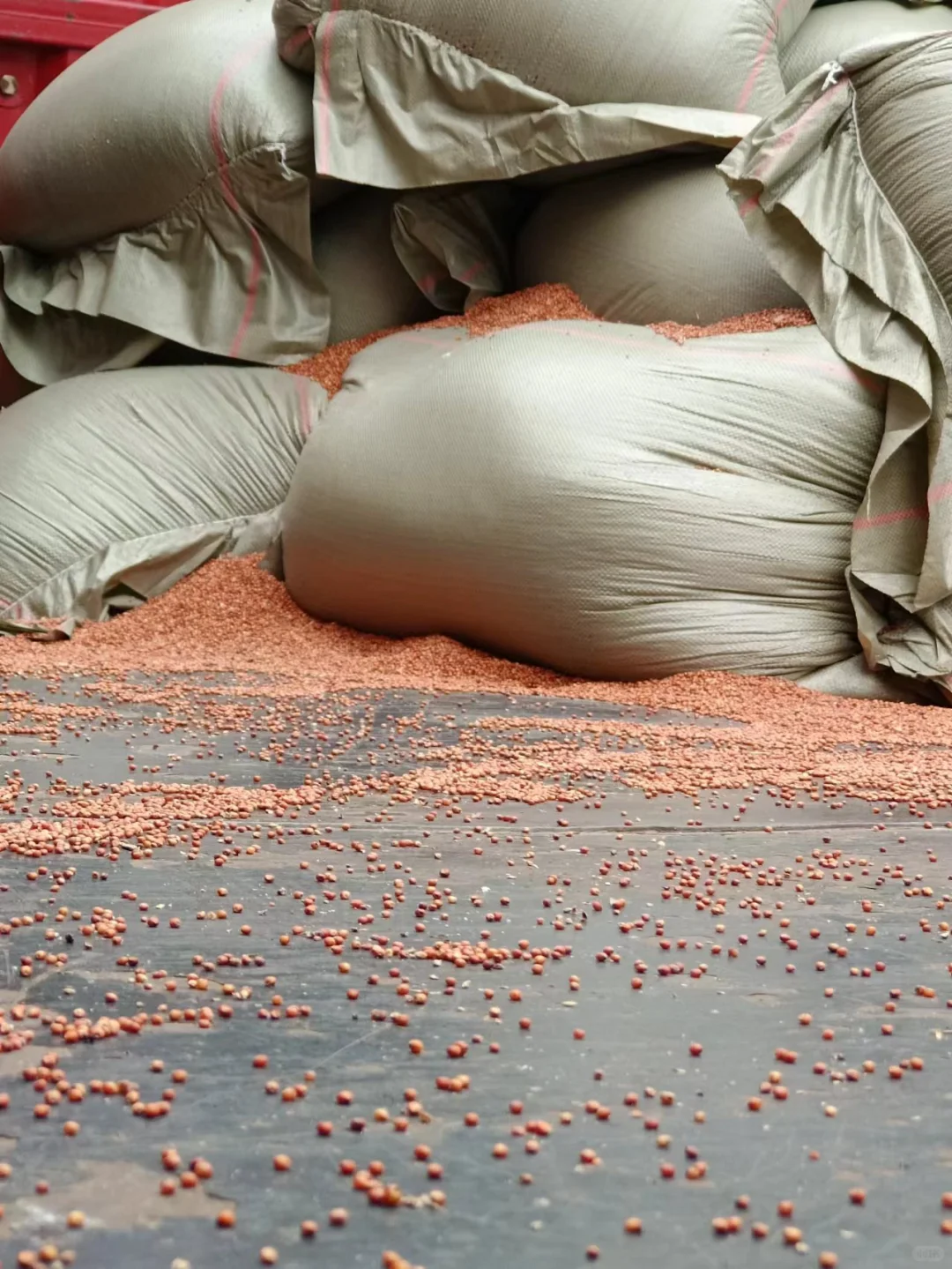 我的发货日常·散装更具性价比｜酒都宜宾直发