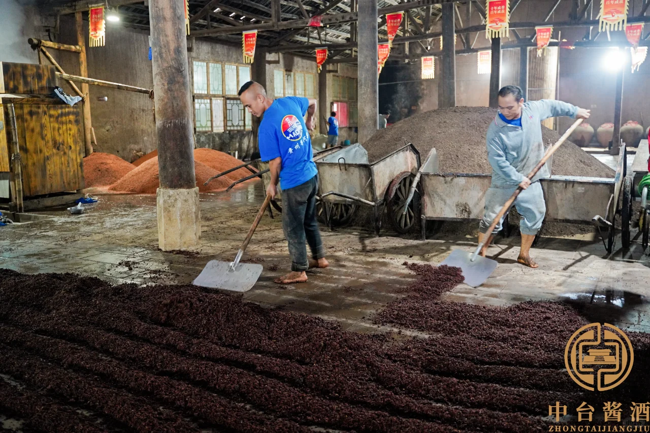 酱酒密码 | 探秘大曲坤沙 12987 工艺 ?