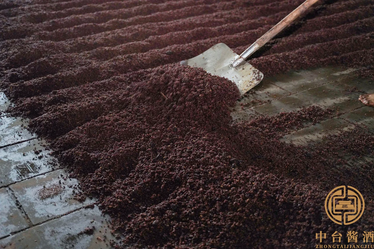 酱酒密码 | 探秘大曲坤沙 12987 工艺 ?