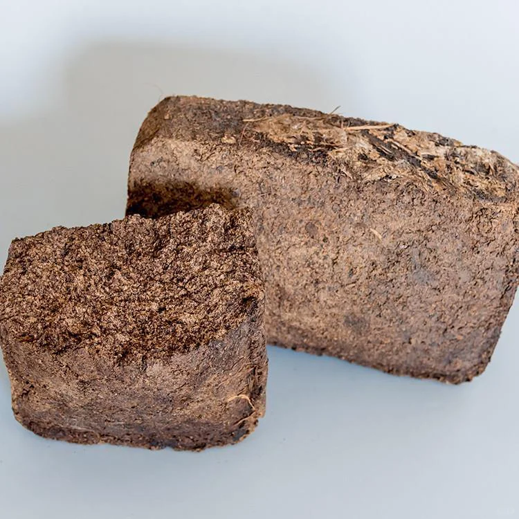 酱香白酒大曲的诞生