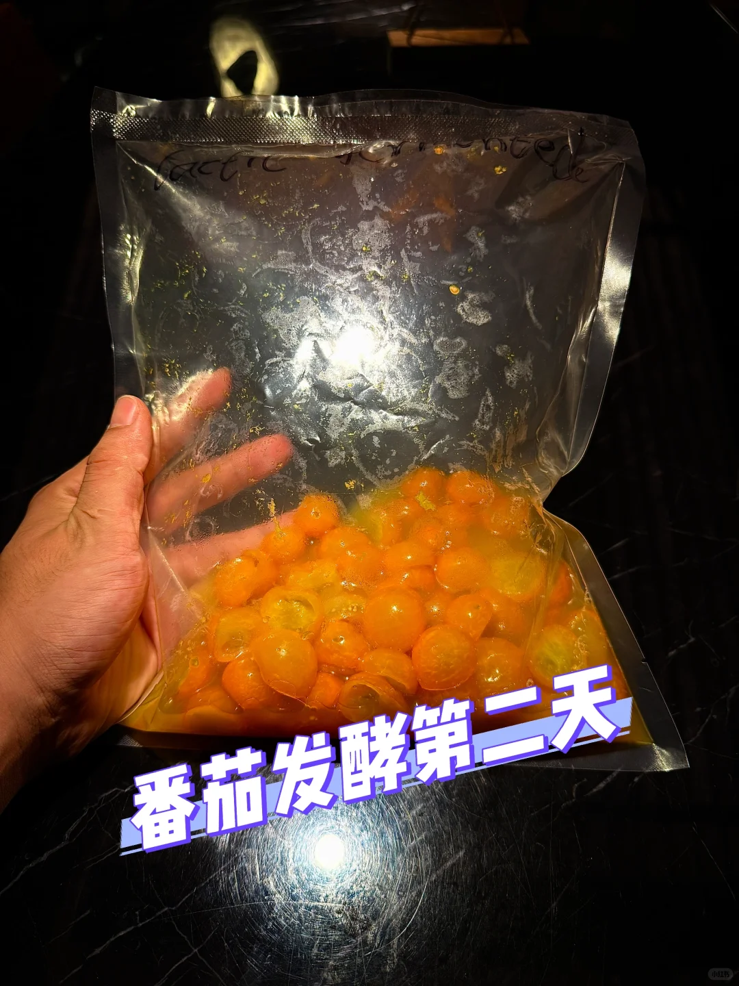 发酵实验室｜好吃到要“爆”的小番茄！！