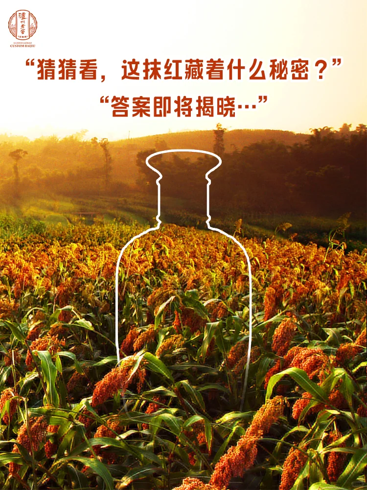 猜猜看，这片丰收的红，会和谁有关？