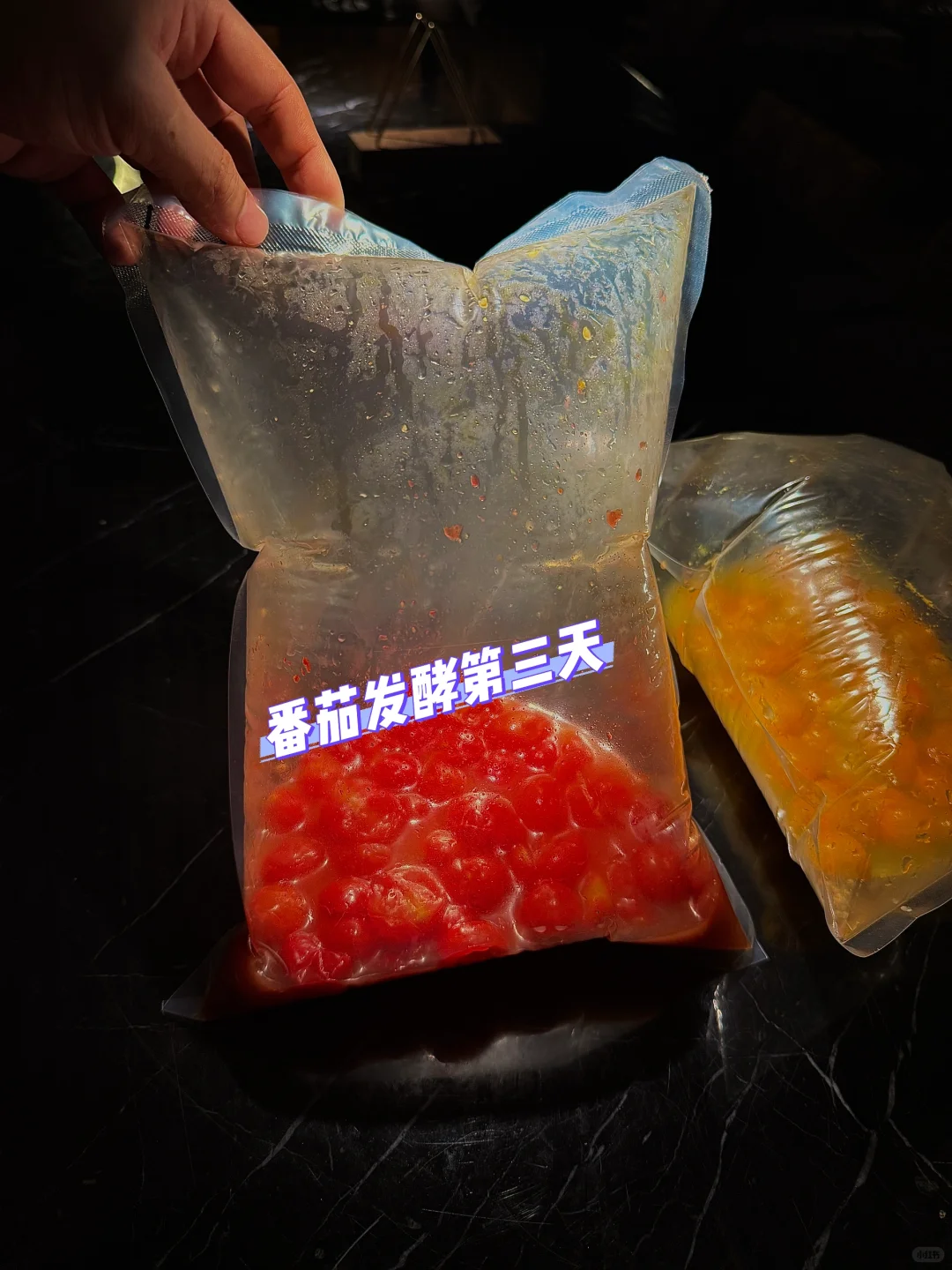 发酵实验室｜好吃到要“爆”的小番茄！！