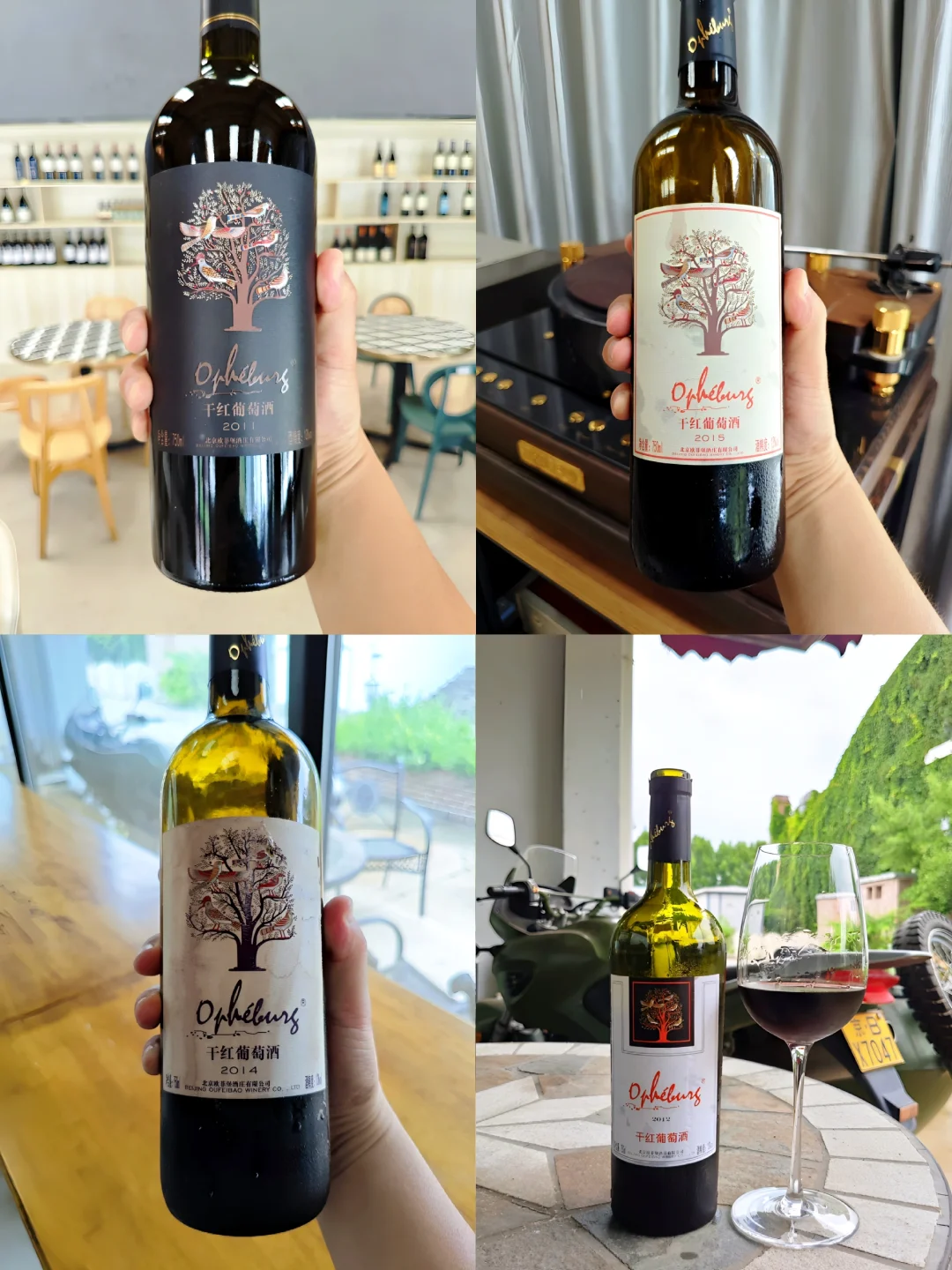 国产葡萄酒牛13的陈年潜力