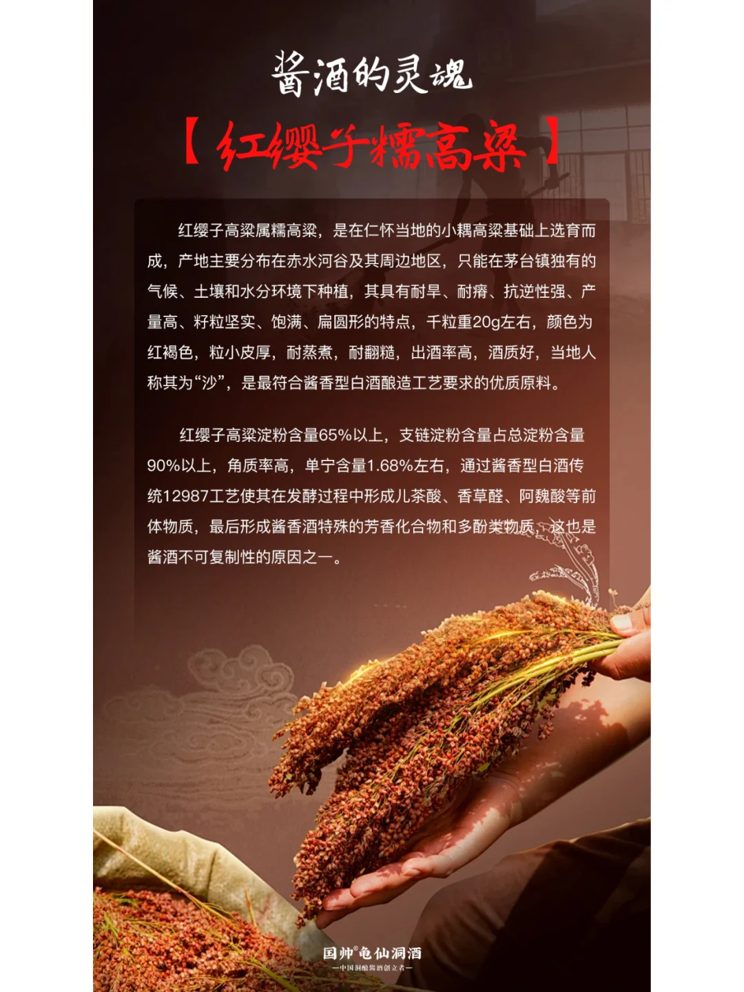 酱酒为什么要用贵州红缨子糯高粱？