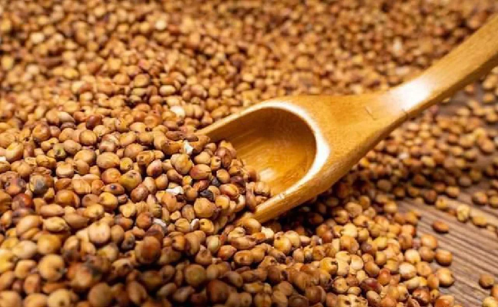 白酒酿造有哪些原辅料