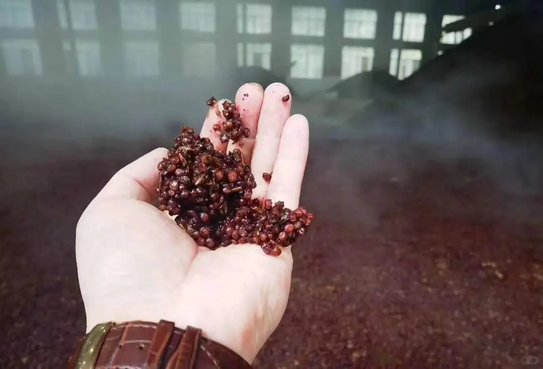 如何挑选正宗纯粮酿造的优质酱香型白酒