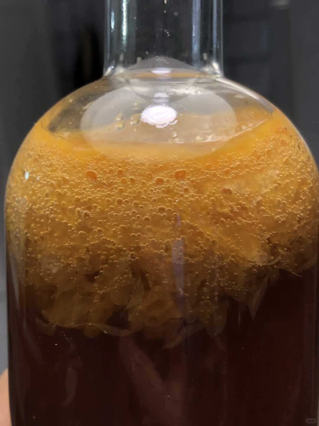 减肥的超级饮料——发酵