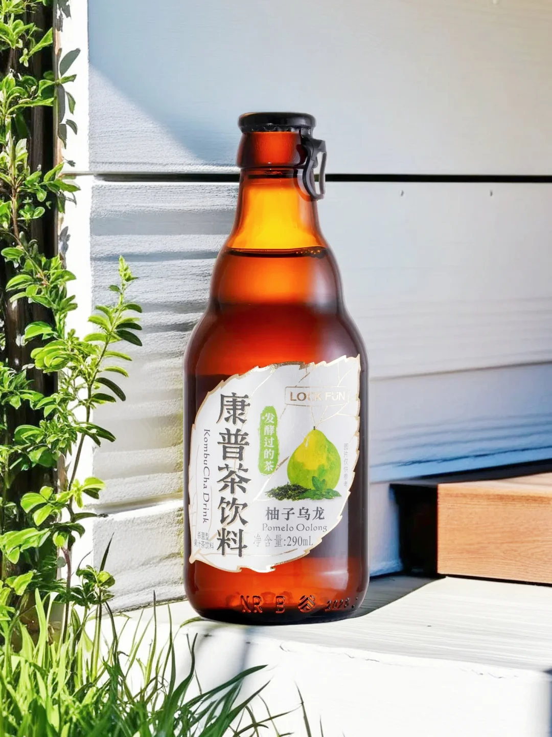 挖到宝！康普茶才是发酵饮品的正确打开方式