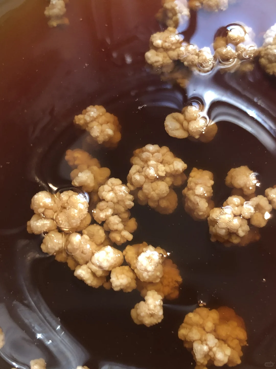 减肥的超级饮料——发酵