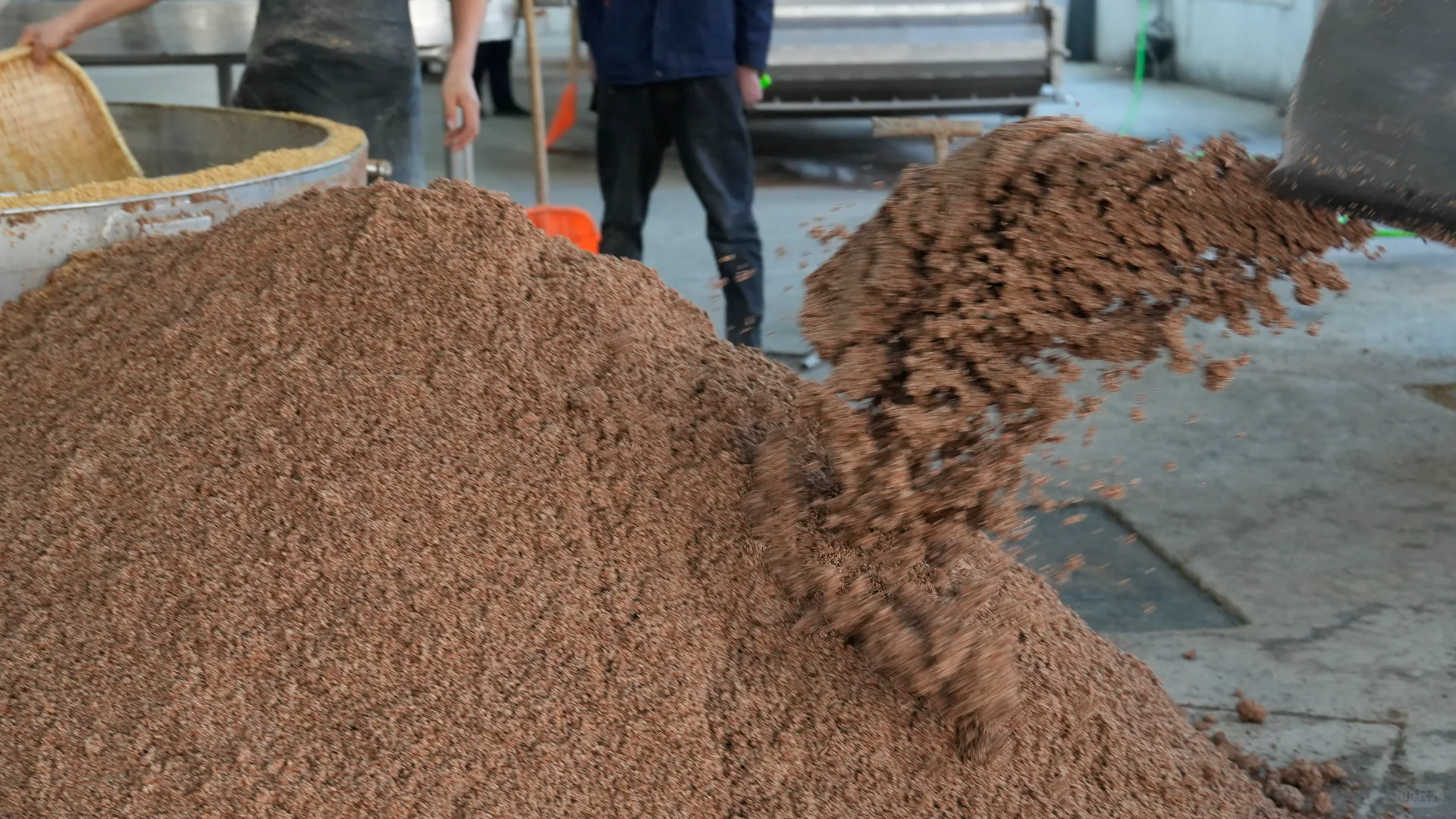 原来好酒都藏着“高粱密码”！