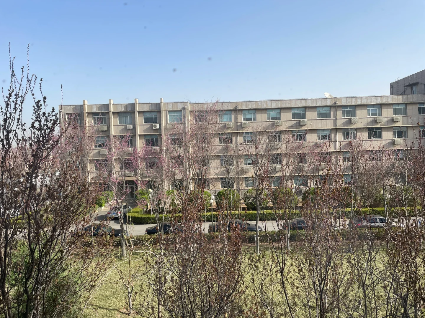 泊头女生招合租