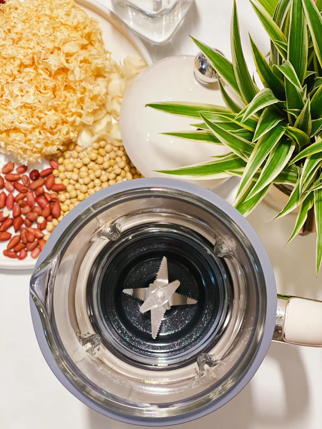 399?破壁机的快乐雷小蒙让我get到❗️