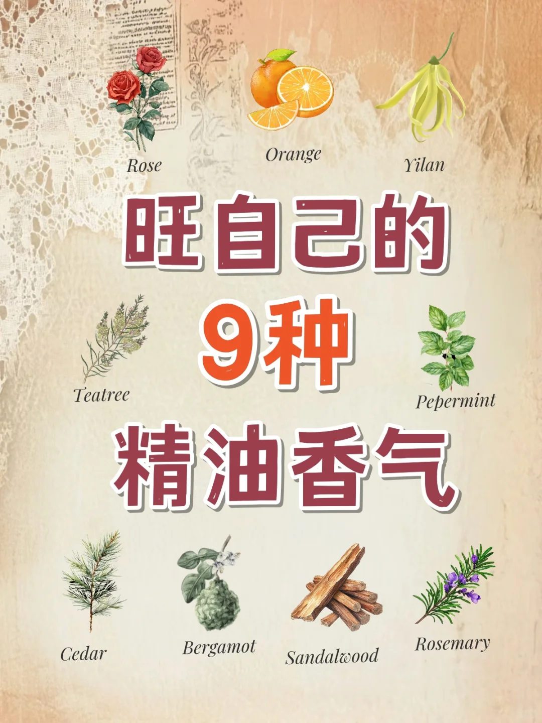 旺自己的9种精油香气 好运能量香气助你旺运