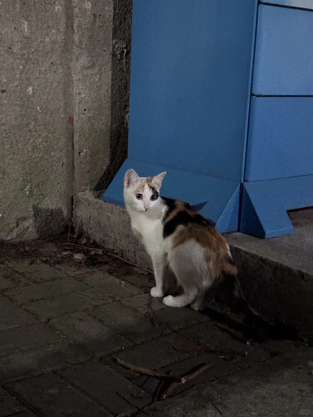 好漂亮的杏仁奶?