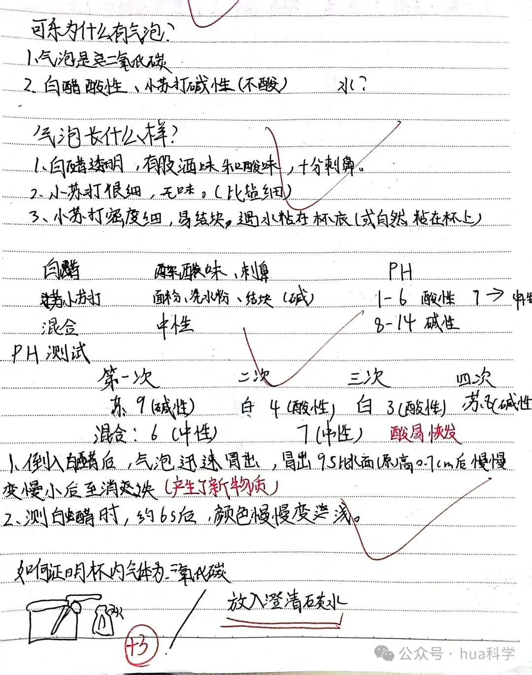 科学实验:自制汽水