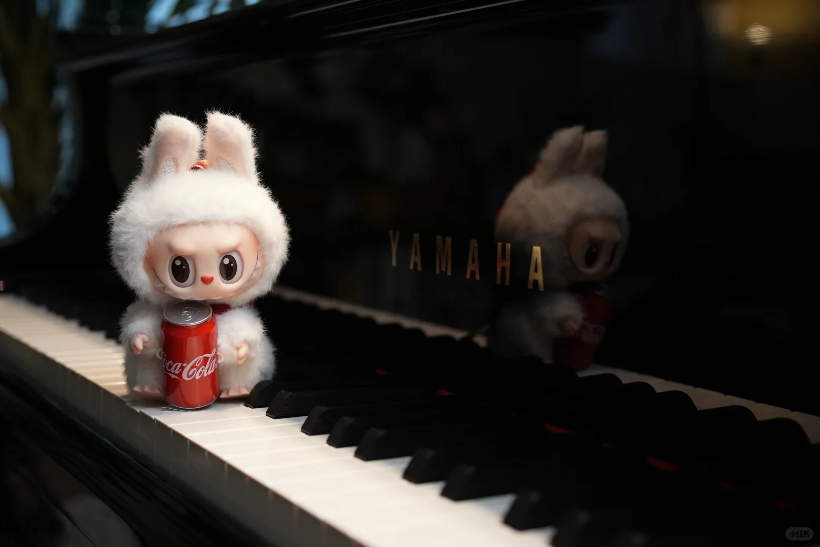 我觉得可乐款labubu颜值最能打|摄影日常