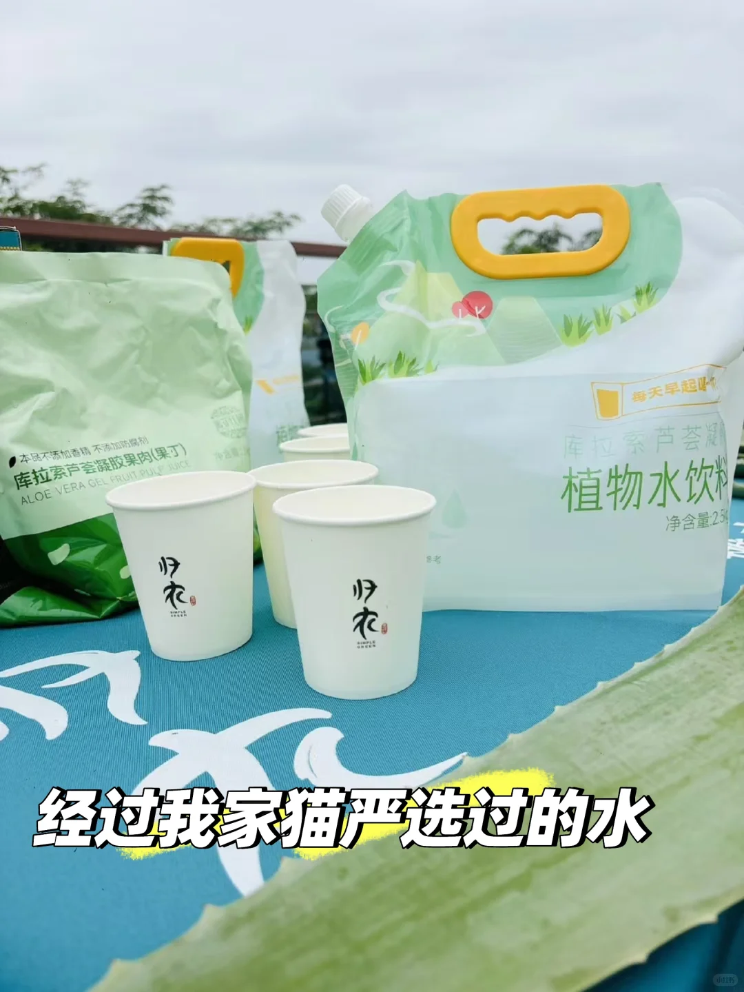 ‼️人生经验,家里?一定要多备点好水