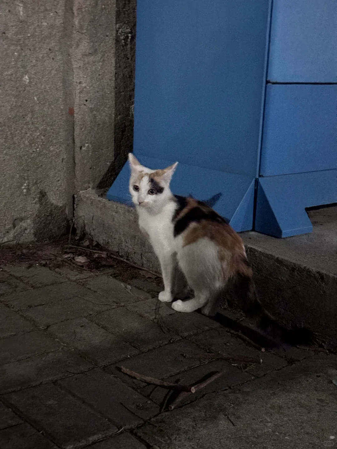 好漂亮的杏仁奶?