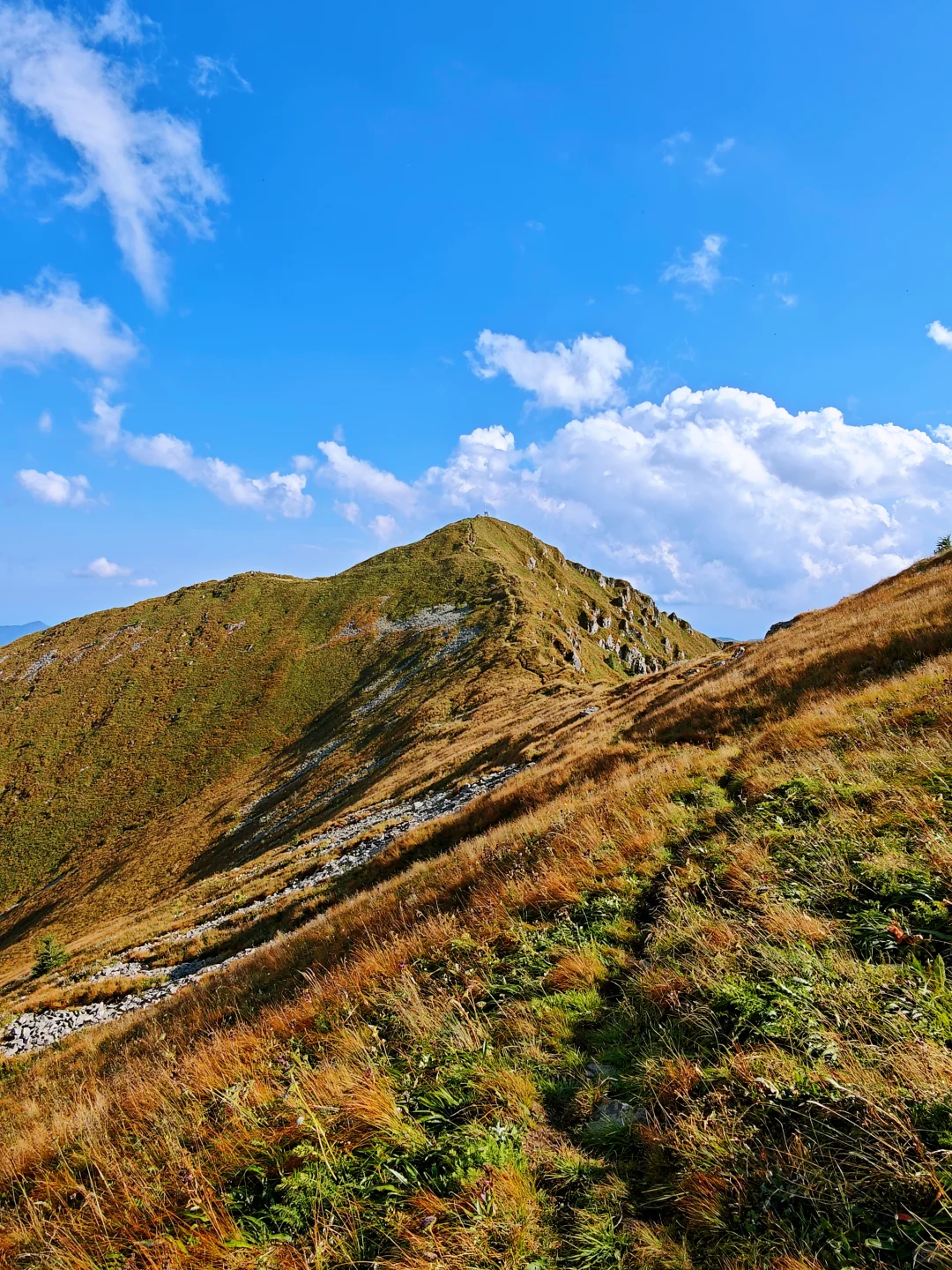 这秋景真是太美了！｜河北蔚县“那座山”