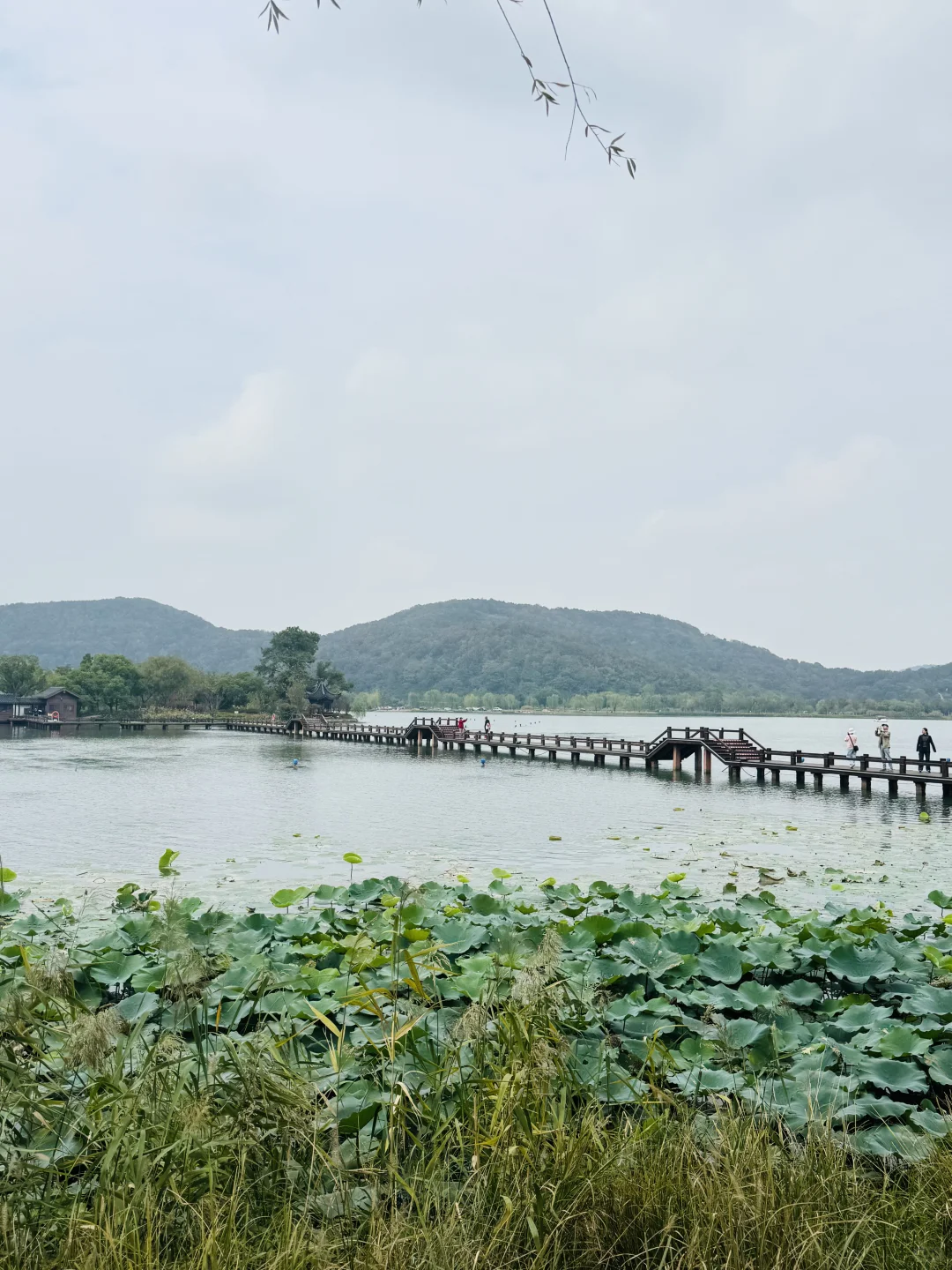 南北湖露营全攻略:湖畔露营+山水浪漫