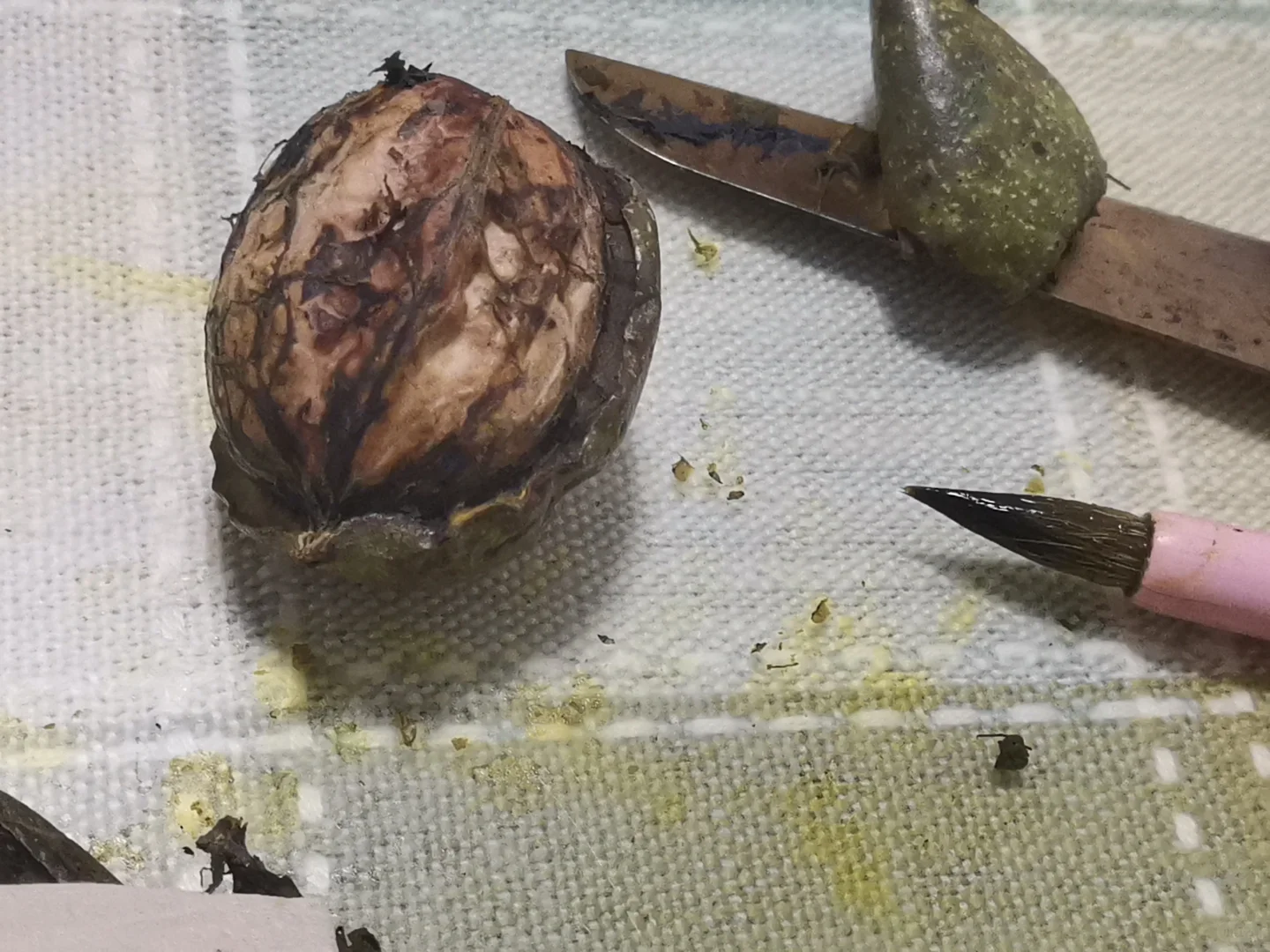 用核桃汁画了个半永久纹身