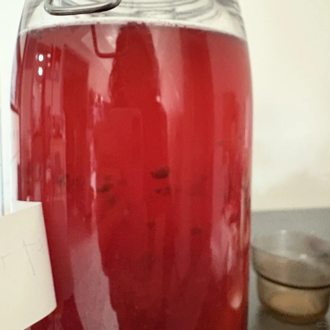 求助：康普茶二发出现这种絮状物正常吗？？？