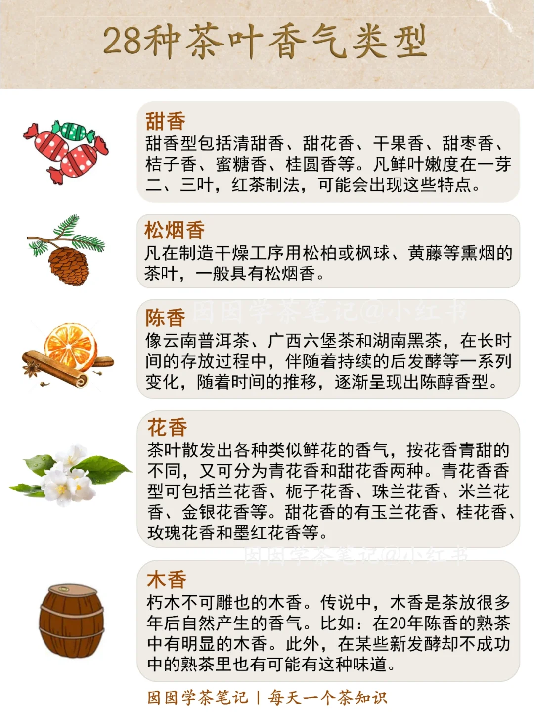 盘点❗️28种常见茶叶香气?你闻过几种？
