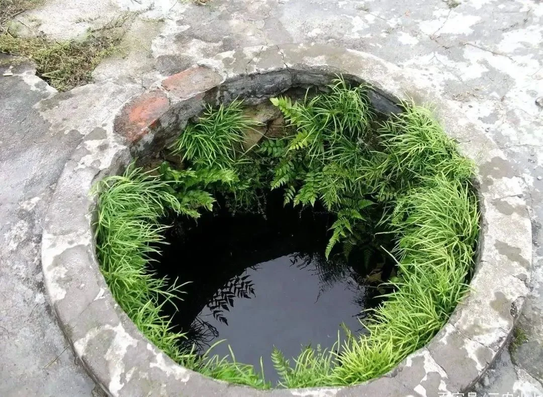 同样都是饮用水，为什么要选择天然矿泉水？