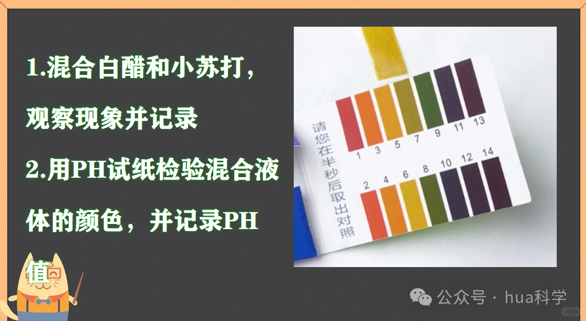 科学实验:自制汽水