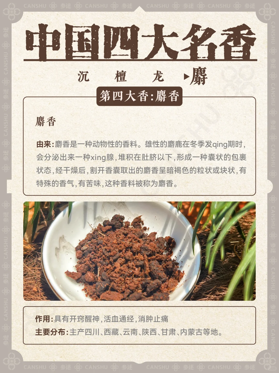 香学科普｜一分钟认识中国四大名香