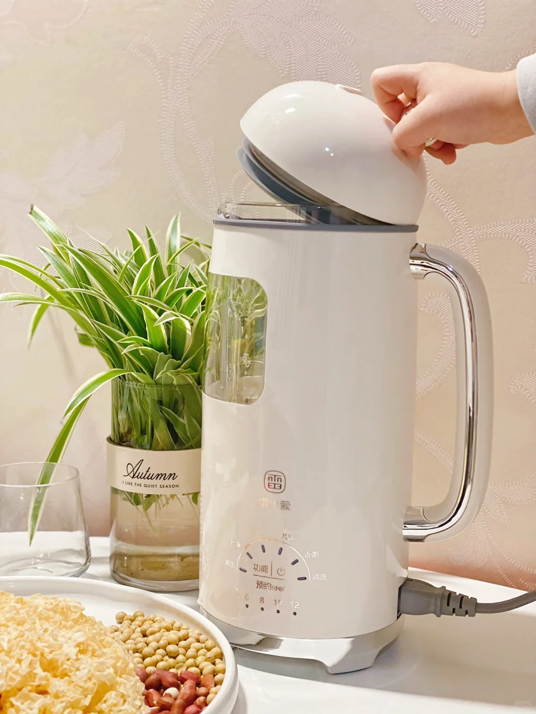 399?破壁机的快乐雷小蒙让我get到❗️