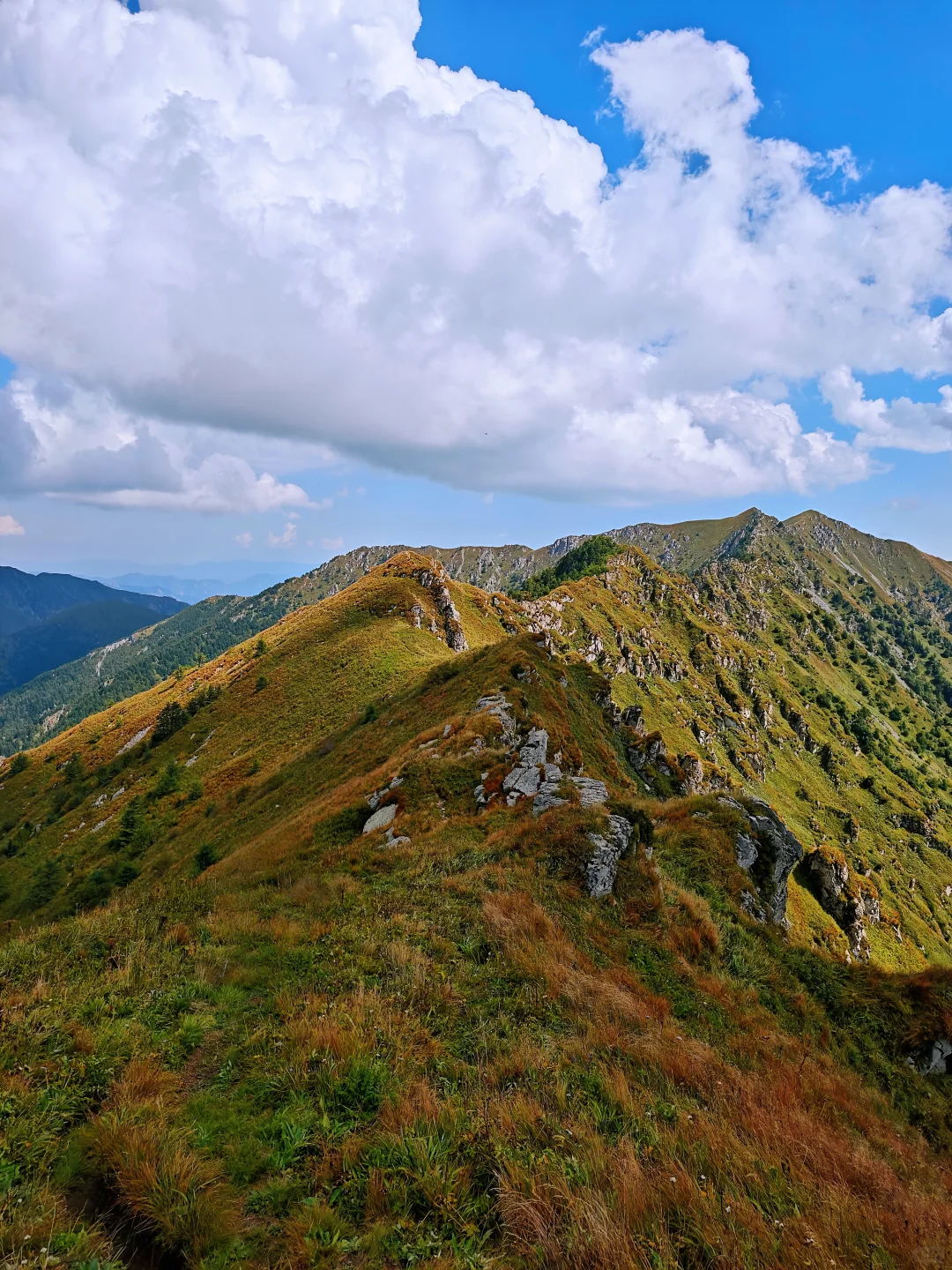 这秋景真是太美了！｜河北蔚县“那座山”