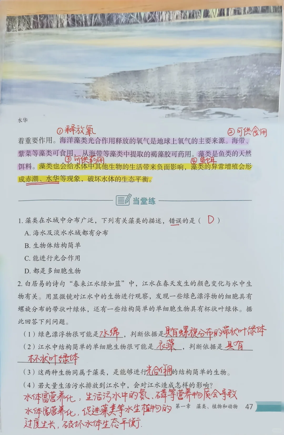 新冀少版生物七上|（第二单元）1.1藻类