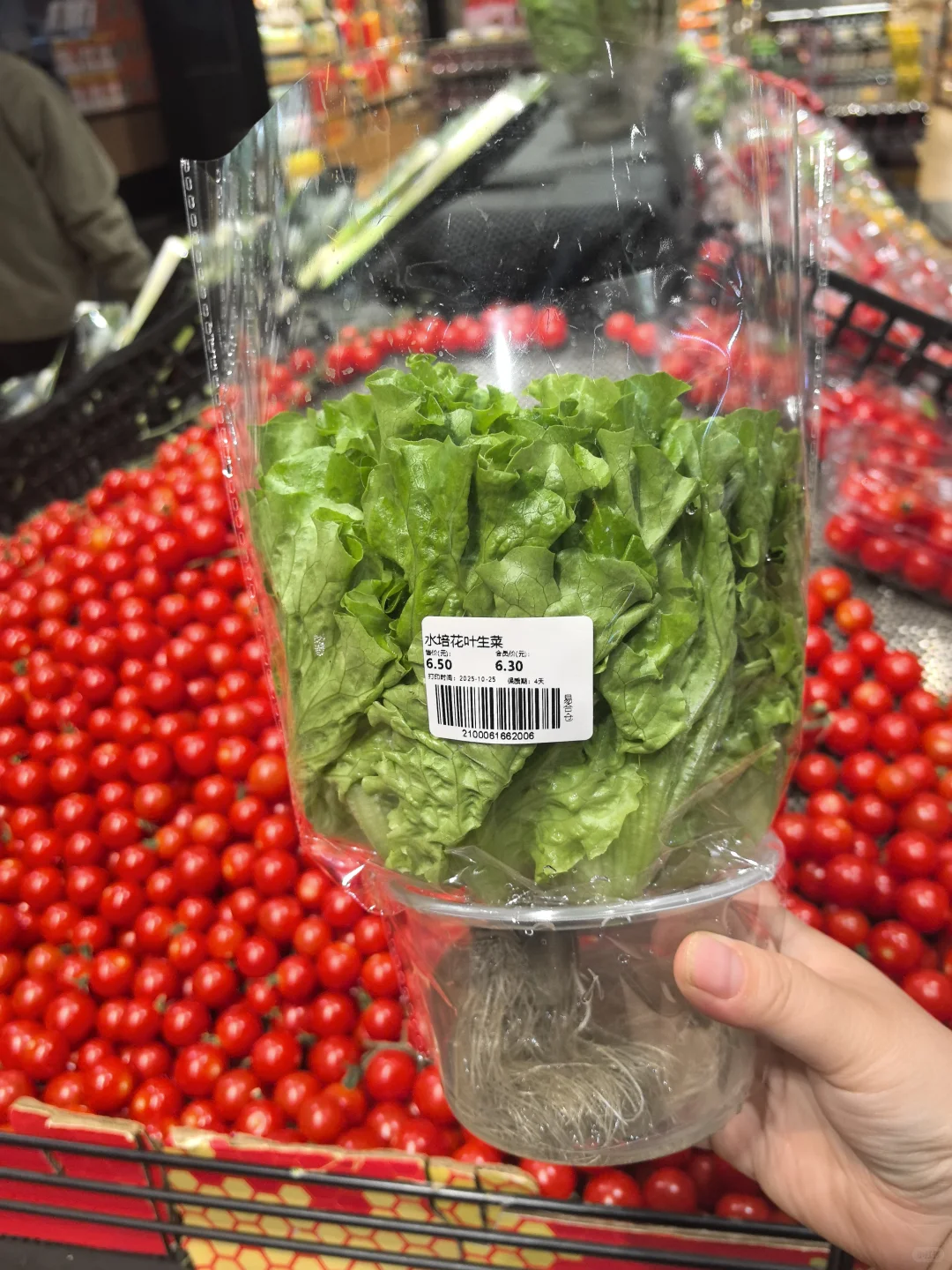 2025.10.29洛阳#易合仓