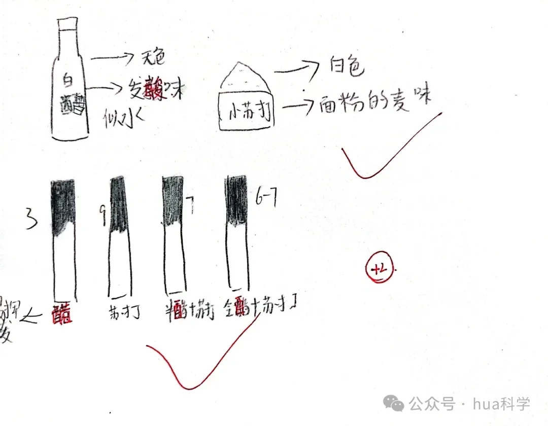 科学实验:自制汽水